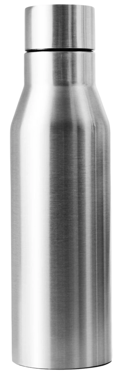 Stainless Steel Bottle